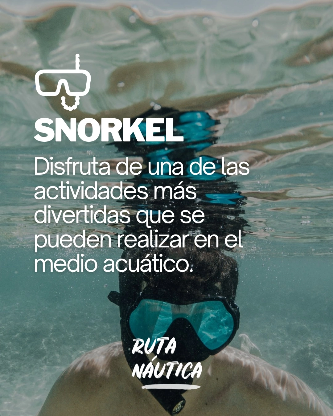 Disfruta del snorkel en las aguas cristalinas